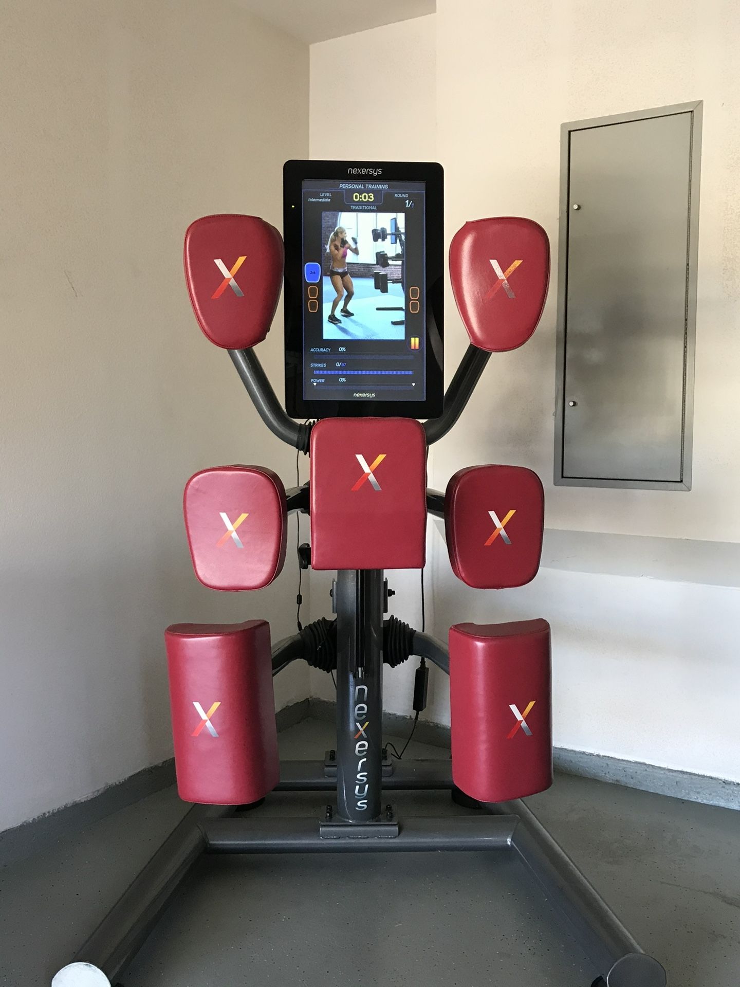 Nexersys Boxing & Fitness Exercise Machine