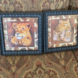 NEW Lion & leopard picture set