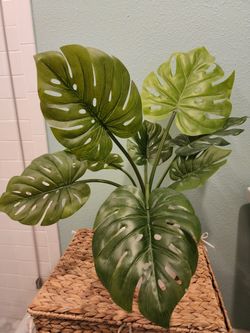 Monstera - Faux Potted