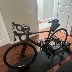 Trek Domane AL2 Gen 4