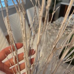 White tree stem decore