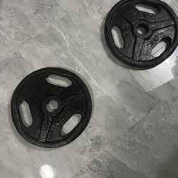 TSA Pair Of 35lb Olympic Weights Plates Total 70lb have new ez curl bar bell and new 45s plates for sale at additional price 