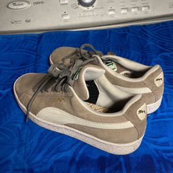 Puma