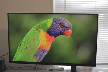 32 Inch 4K UHD UltraFine
 Ergo Monitor 32un880