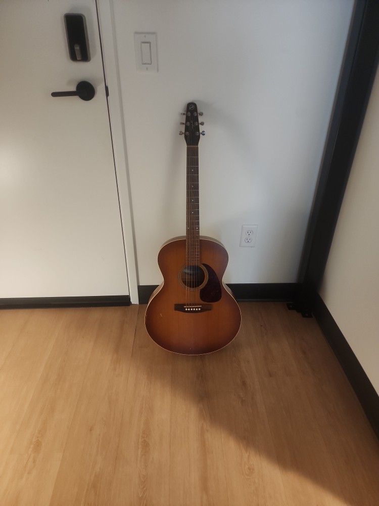 Seagull Entourage Mini Jumbo Acoustic Guitar
