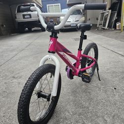 Specialized Kid Bike