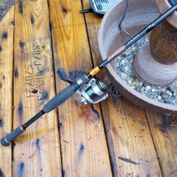 Dobyns Colt Bass Rod