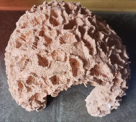 Artificial Coral for Fish Tank
