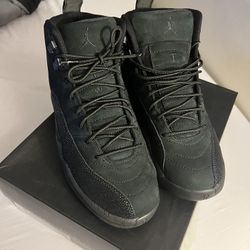 OVO jordan 12 retro black