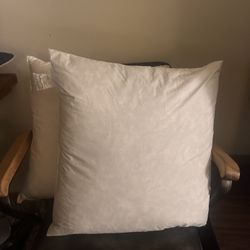 Two 22 X 22 In Pillow Inserts