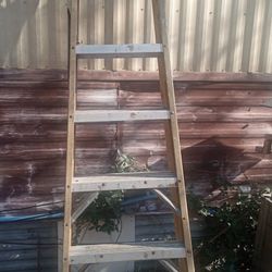 8ft Aluminum Ladder