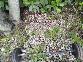 Push bar