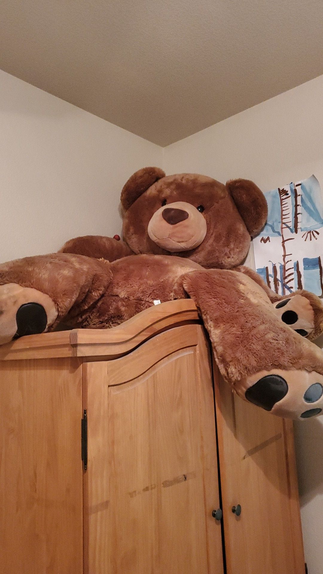 4 foot bear