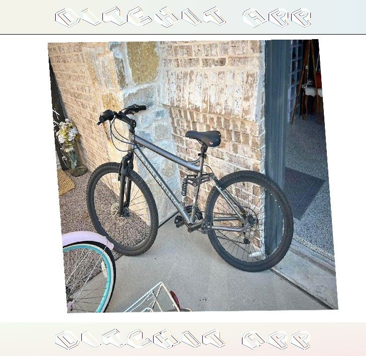 consumer every Regular Adult Bike Smooth Cycling for Everyday Needs