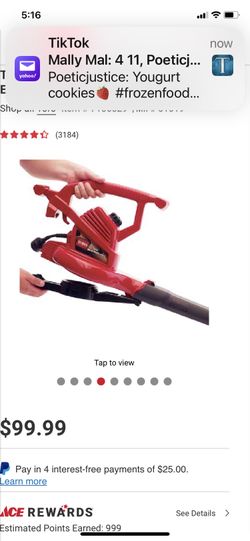 Toro Ultra Leaf Blower