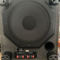 12” Subwoofer 