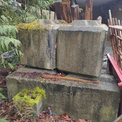 Concrete Ecology blocks