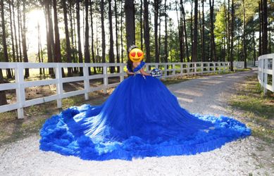 Quinceañera Dress And Package 