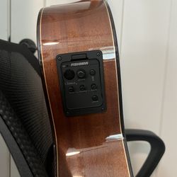 BRAND NEW FRETLESS ALTAMIRA N200 ACOUSTIC ELECTRIC
