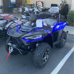 Atv300cc