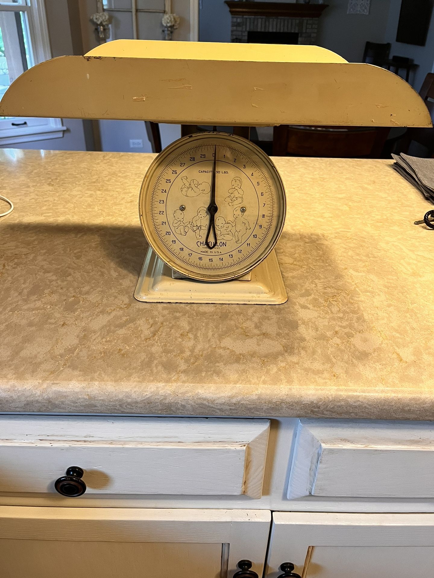 Chatillon scale