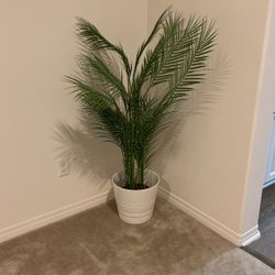 Fake Plant 
