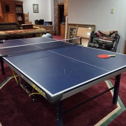 Ping Pong Table - Stiga ST3100