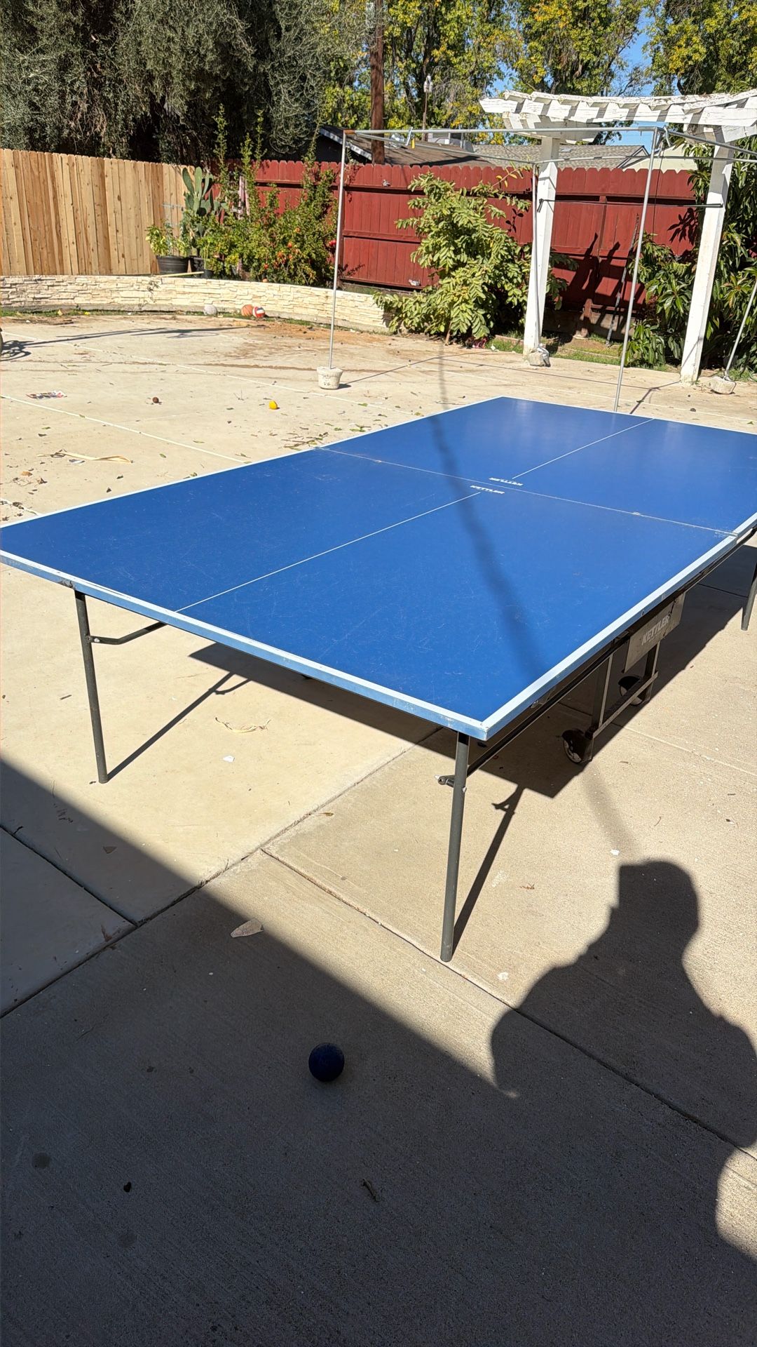 Ping Pong Table