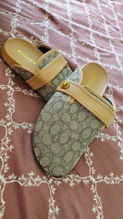 Brown slides