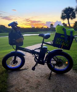 Ecotric Electric Bike