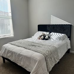 Black Queen Bed frame And Mattress 