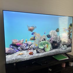 75 Inch Tv
