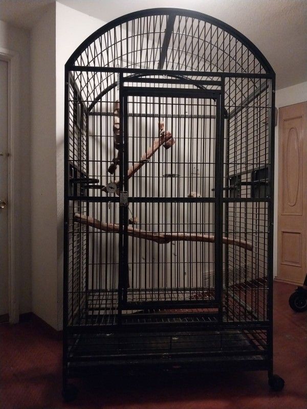 Bird CAGE