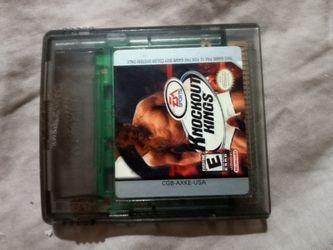 EA Sports Knockout Kings For The Game Boy Color