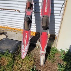 Water Skis  40.00