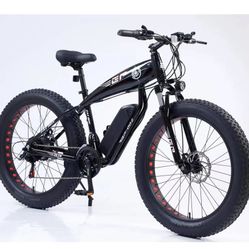  EP-002 “FATBOY” Electric Bike