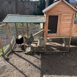 Chicken  Coop