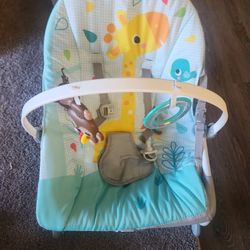 Baby Bouncer
