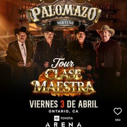 Palomazo Norteño 03 Abril 2026