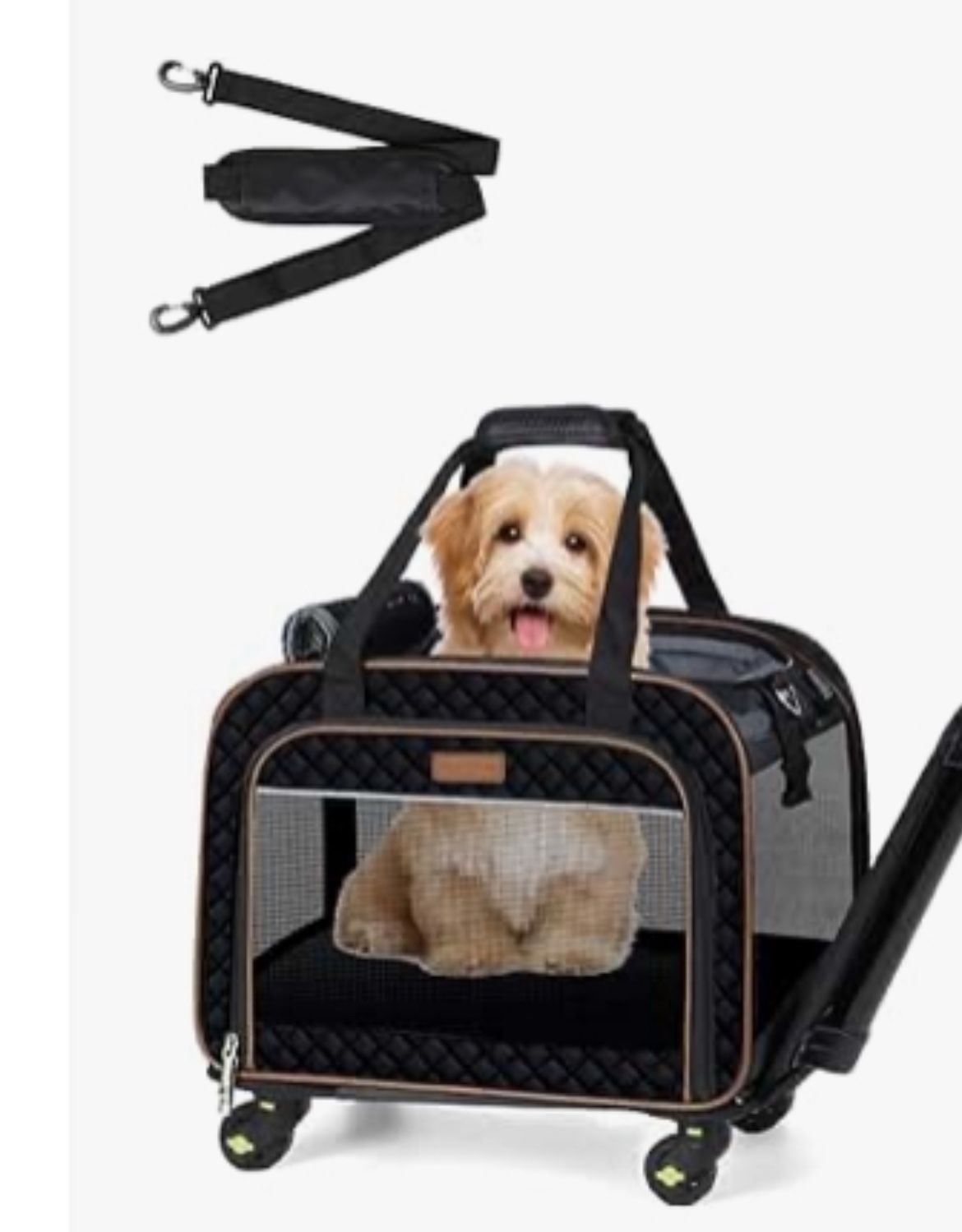Cat or dog carrier