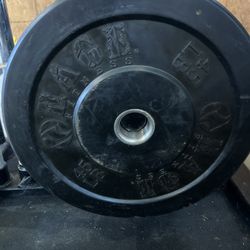 Bumper Plates