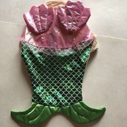 Dog Halloween Outfit 