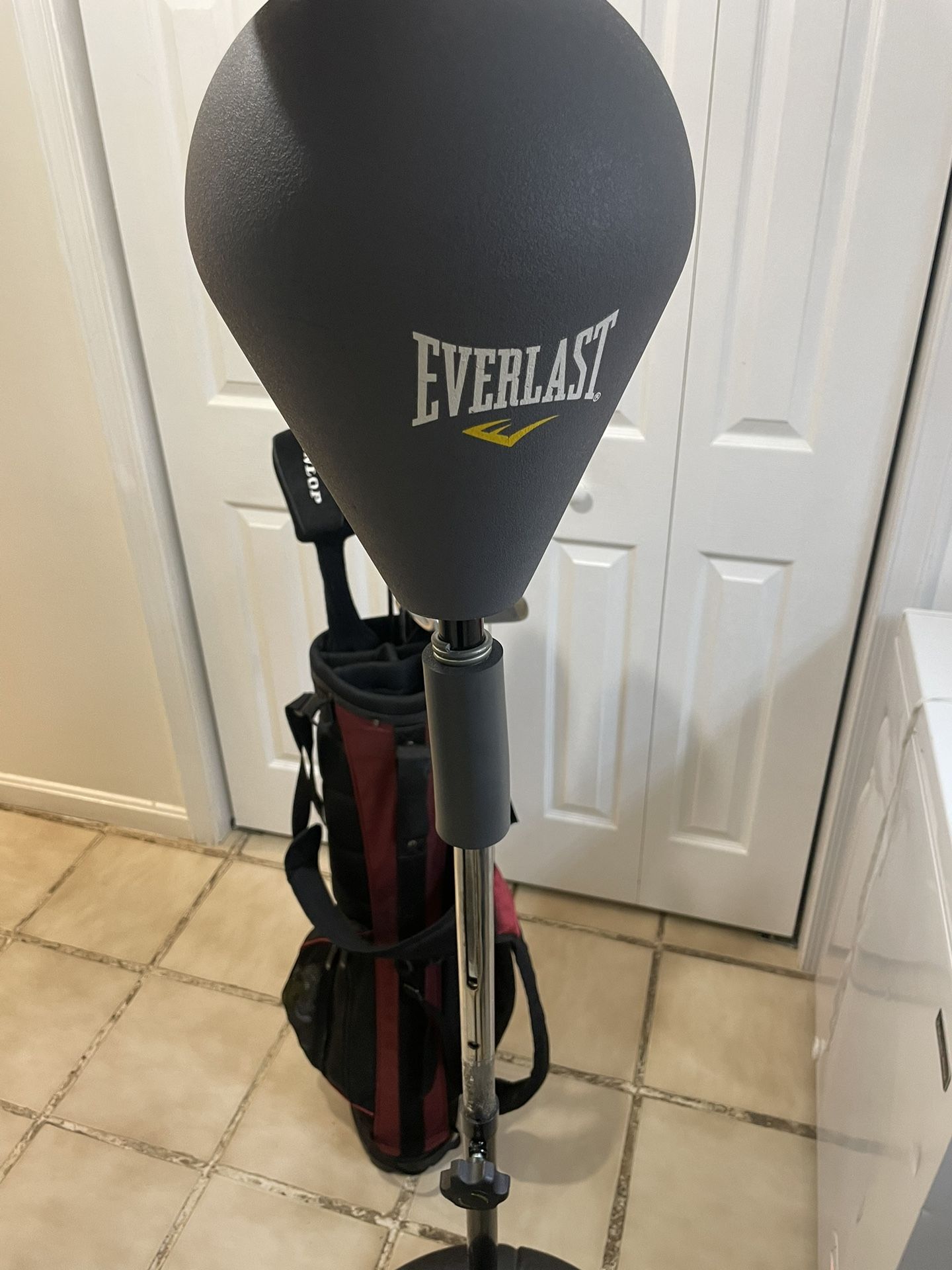 Everlast Punching Bag 