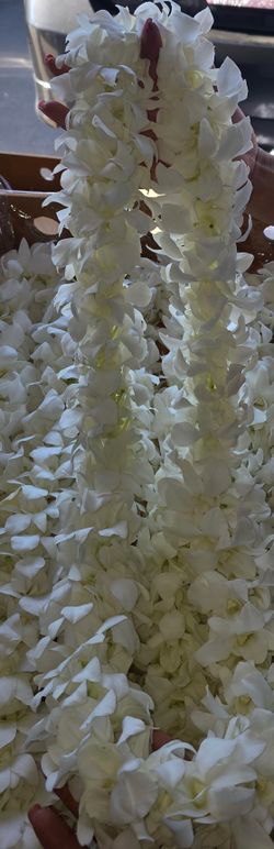 Graduation leis