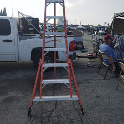 Werner Ladder 
