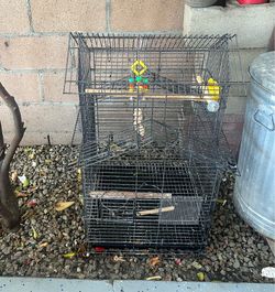 Bird cage Jaula ASKING $50 firm