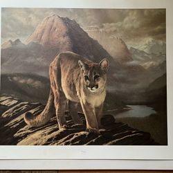 Charles Frace “Cougar” Print 