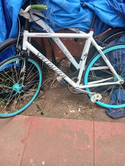Specialized fixie