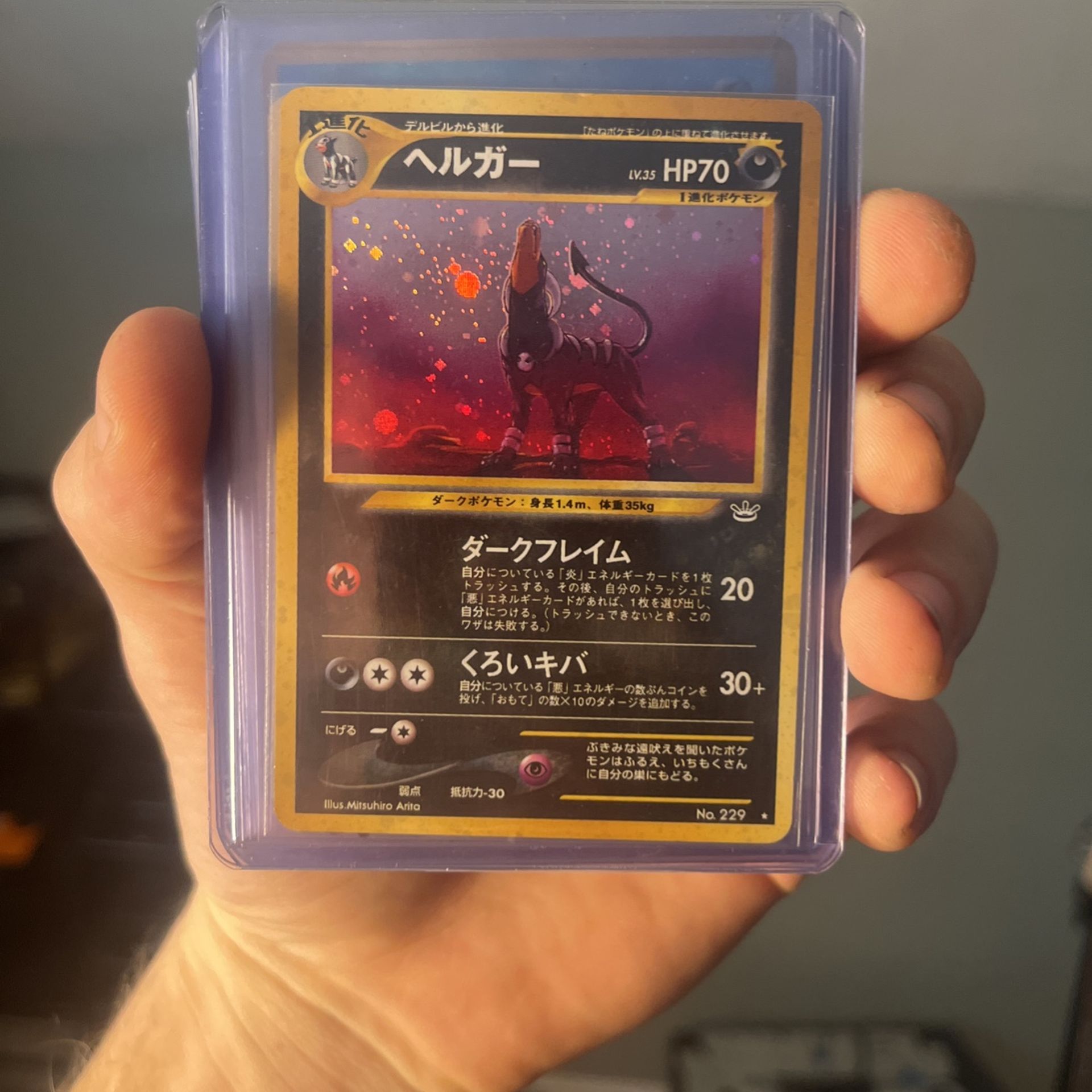 Japanese Neo Houndoom
