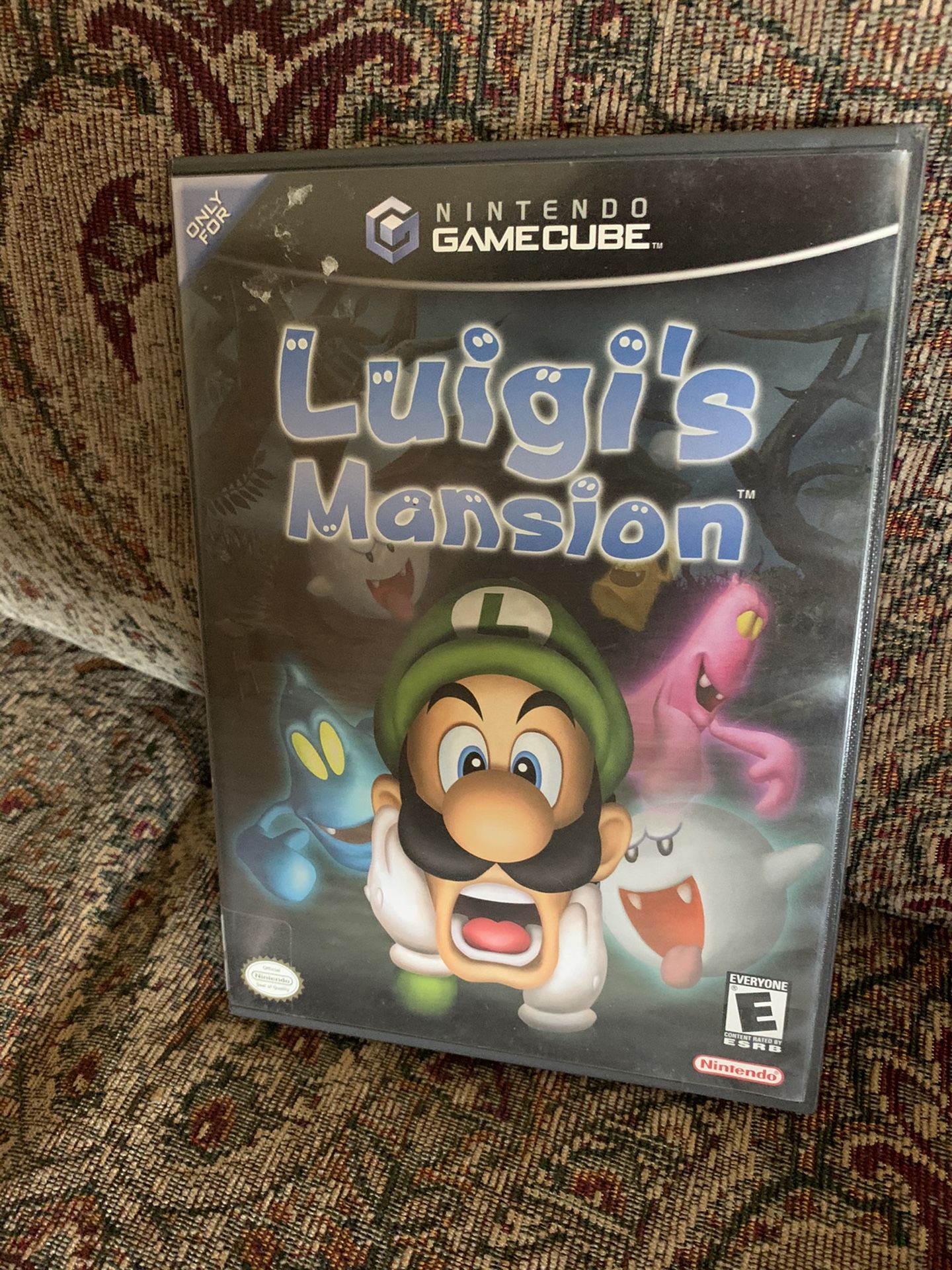 Luigis Mansion